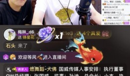正能量爆料宇哥是谁啊视频,正能量爆料视频背后的神秘人物