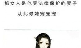 娱乐圈爆料的小说推荐,揭秘那些被隐藏的小说世界