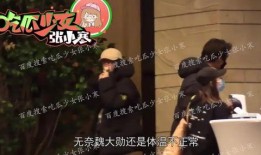 娱乐爆料魏大勋杨幂,娱乐爆料引热议