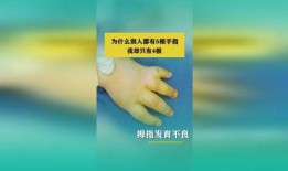 五根手指全集在线观看,指尖上的情感交响曲
