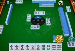 贵州麻将直播爆料视频大全,视频大全背后的精彩瞬间