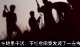呼吸 在线观看,在线观看呼吸知识盛宴
