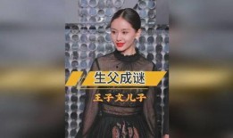 王姓导演爆料视频,独家爆料视频内容大揭秘