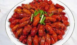 骚年龙虾爆料视频大全,视频大全揭秘幕后真相