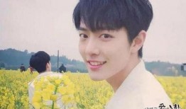 娱乐圈吃瓜cp博君一肖,娱乐圈的甜蜜瓜田，CP互动引粉丝狂欢