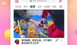 吃瓜网爆料呱呱视频下载观看,呱呱视频下载观看，揭秘热门直播平台幕后精彩瞬间