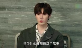 李哲事件爆料视频,揭秘背后惊人真相，视频爆料引发社会热议