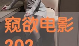 窥欲电影在线观看,揭秘隐秘欲望的视觉盛宴