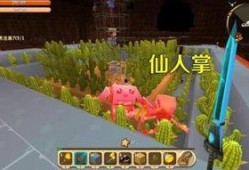 仙人掌旅店在线观看,揭秘仙人掌旅店在线观看的神秘魅力