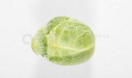 吃瓜影视素材下载免费,轻松打造热门短视频！