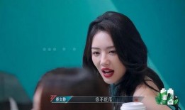 娱乐吃瓜君蔡文静,娱乐吃瓜界的风云人物
