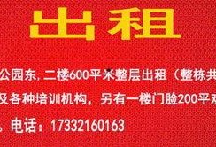 保定唐县爆料事件视频播放,视频揭露惊人真相