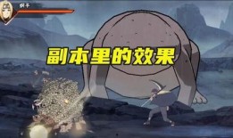 山椒鱼宁次最新爆料,神秘事件背后真相揭晓