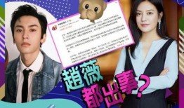 中国娱乐圈的真实爆料,明星背后的真实故事与幕后真相