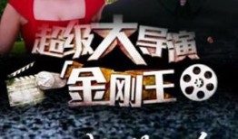 王姓导演爆料视频,独家爆料视频内容大揭秘