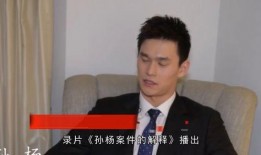 李哲事件爆料视频,揭秘背后惊人真相，视频爆料引发社会热议