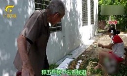 百岁爷爷爆料姐姐视频,姐姐视频背后的感人故事