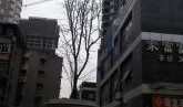 成都青羊区最新爆料,揭秘城市变迁中的文化传承与创新
