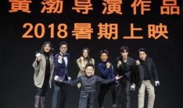 黄渤电影爆料大会视频,揭秘幕后故事，笑料连连