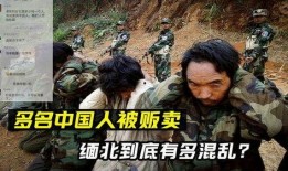 商人爆料缅北事件真相视频,商人亲述惊人真相