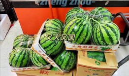 郑州免费吃瓜,免费吃瓜活动来袭，清凉一夏尽享瓜果盛宴