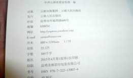 新闻跟踪爆料案例范文,揭秘真相背后的曲折历程