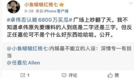 卓伟爆料任嘉伦了吗视频,任嘉伦疑涉重大事件，真相究竟如何？