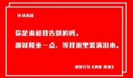 爆料活动现场视频文案,爆料活动精彩瞬间大盘点