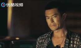 追捕毒枭全集在线观看,全境猎狐，正义终将胜利