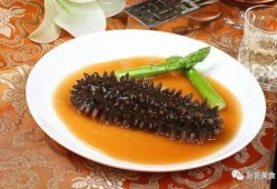 海参最新爆料视频,揭秘海洋珍品背后的秘密与价值