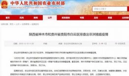 猪瘟最新爆料,揭秘病毒传播途径与防控措施