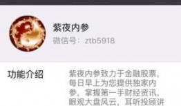 反弹爆料视频大全,揭秘幕后真相，还原事件全貌