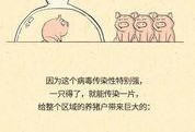 猪瘟最新爆料,揭秘病毒传播途径与防控措施
