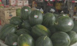 盐城网红吃瓜事件