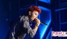 娱乐圈爆料演唱会的明星,巨星云集，精彩瞬间大盘点