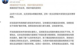 张文宏最新疫情爆料,揭秘病毒变异与防控策略新动向