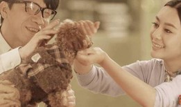 脑囧电影在线观看,一场穿越时空的脑力激荡之旅