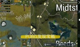 荒野盛夏爆料视频完整版,揭秘视频完整版背后的惊心动魄与精彩瞬间