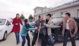 乡5在线观看,探寻乡村变迁的温情故事