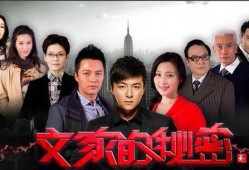 文家的秘密在线观看,在线观看解锁家族传奇