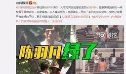 爆料衡水出轨事件视频播放,一场道德的沦陷与舆论的漩涡