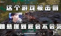 阿飞爆料张凌赫视频,真相与争议并存