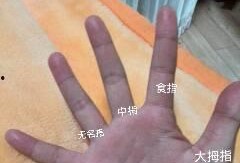 五根手指全集在线观看,指尖上的情感交响曲