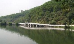 深圳仙湖植物园爆料视频,探秘自然奇观
