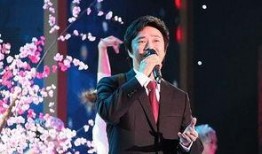 天涯爆料费玉清视频,揭秘娱乐圈不为人知的真相