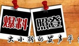 爆料怎么发到本地新闻,揭秘爆料如何成为焦点