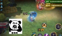 无敌猴子爆料视频下载免费,免费下载背后的秘密大公开