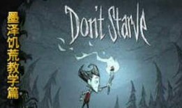 阁楼里的大象在线观看,揭秘“阁楼里的大象”神秘世界