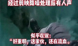 大连爆料招贼事件视频,邻里纠纷引发社会关注