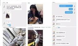 娱乐圈爆料bot,揭秘明星背后的秘密与真相
